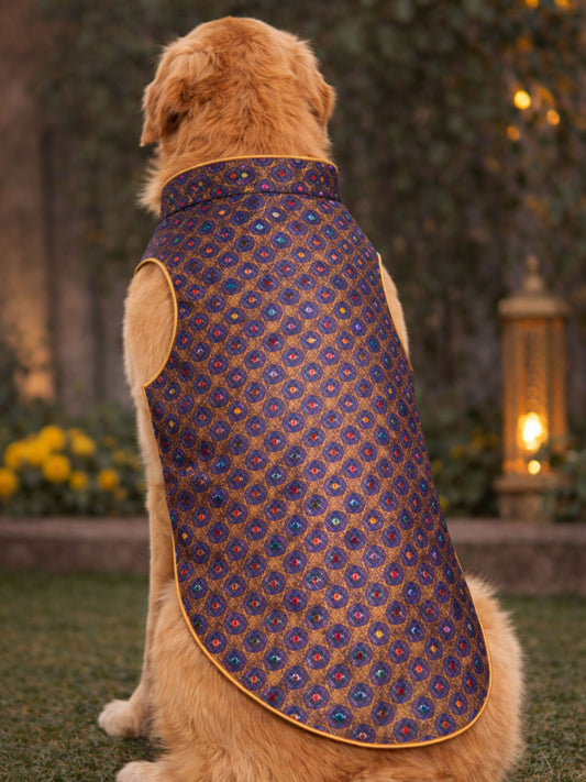 Royal Blue Dog Sherwani for Wedding & Reception Wear