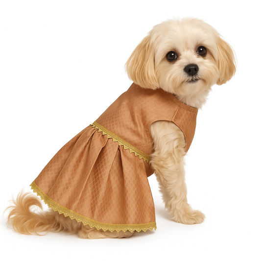 Golden traditional lehenga for dog with gold lace