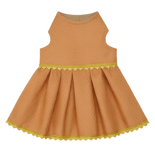 Small dog in ethnic Indian dress for festivals