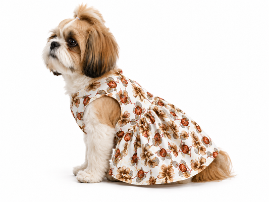 Small dog wearing a floral dress on a white background