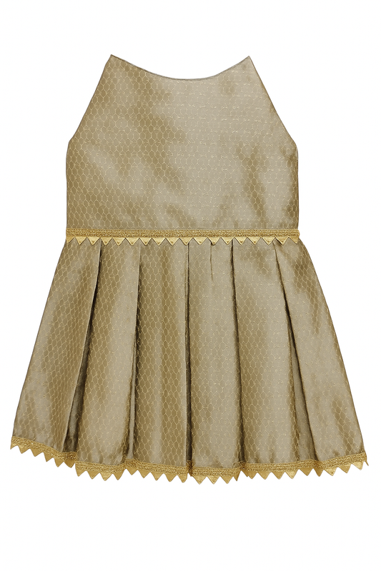 Dog dressed in traditional gold Indian lehenga for weddings