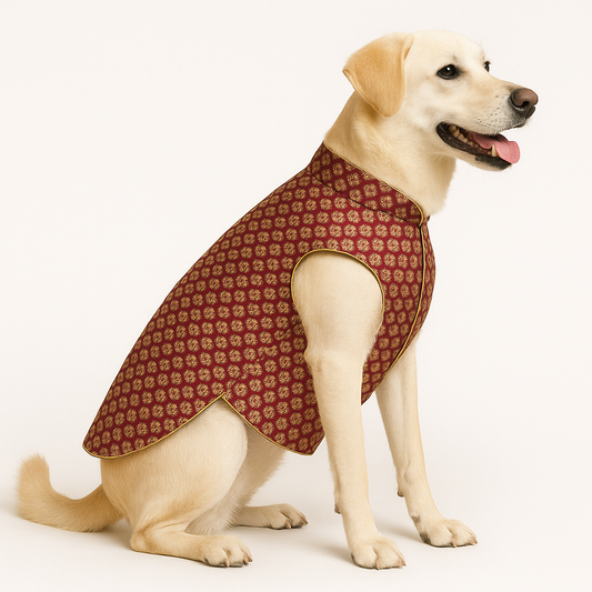 Premium Maroon Dog Sherwani | Royal Ethnic Wear for Dogs | Festive & Wedding Outfit - Petaloons