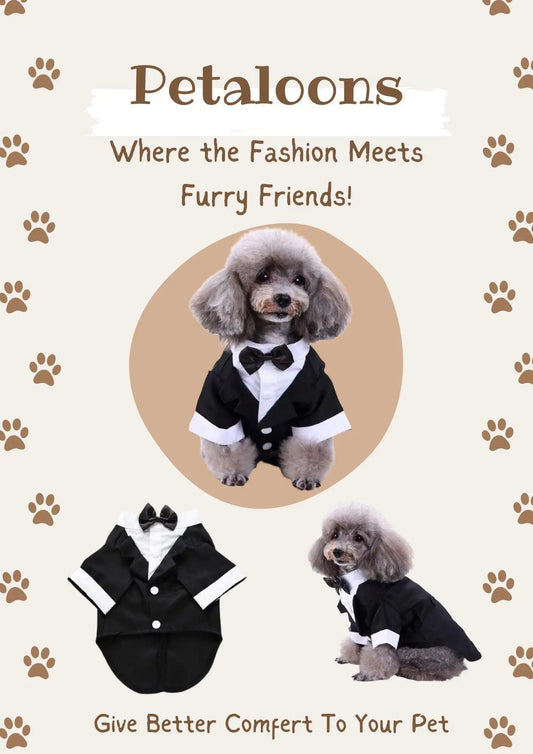 Dog Wedding Outfit | Pet Party Wear | Black Tuxedo - Petaloons