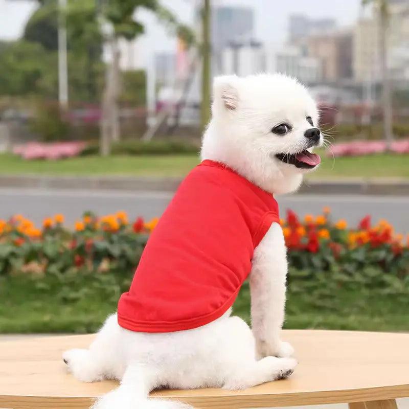 Plain T-Shirt for Dog - Petaloons