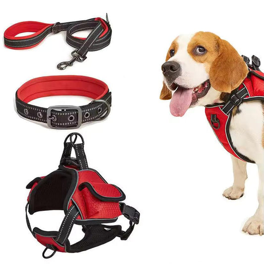 Hot Sell Luxury Reflective Dog Leash and Harness Set – Adjustable Breathable Harness with Metal Buckle for Large Dogs - Petaloons