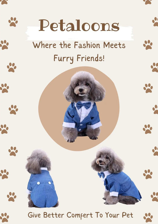 Dog Wedding Outfit | Pet Party Wear | Blue Tuxedo - Petaloons