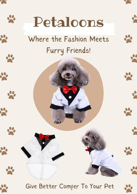 Dog Wedding Outfit | Pet Party Wear | White Tuxedo - Petaloons