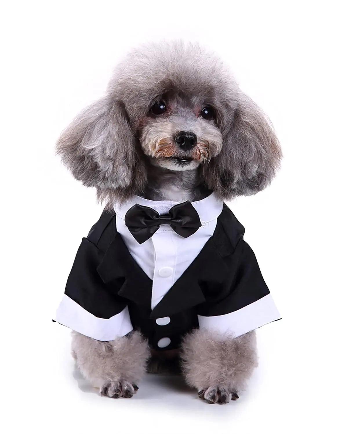 Dog Wedding Outfit | Pet Party Wear | Black Tuxedo - Petaloons
