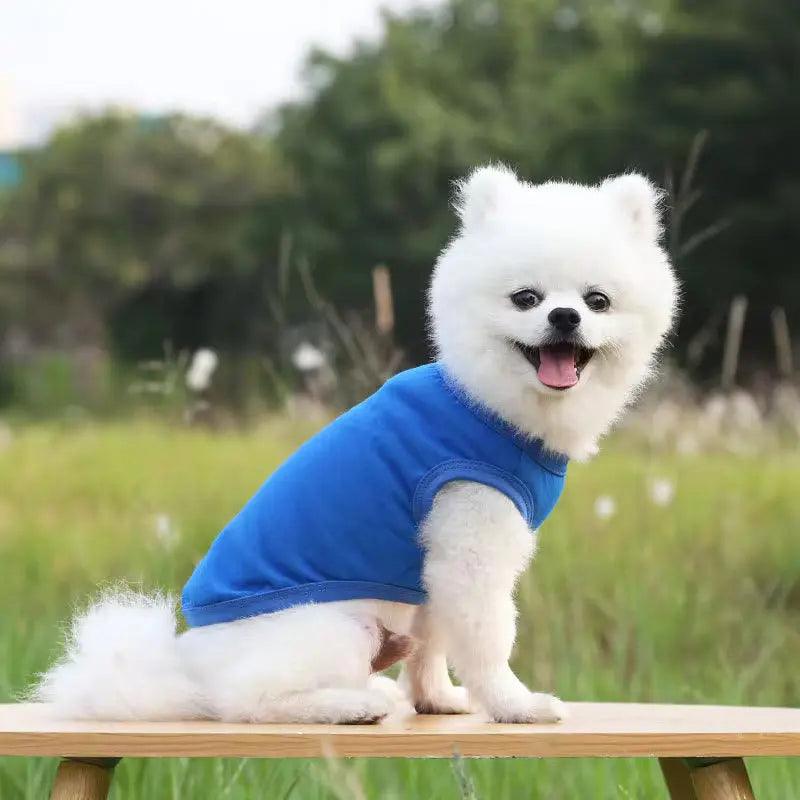 Plain T-Shirt for Dog - Petaloons