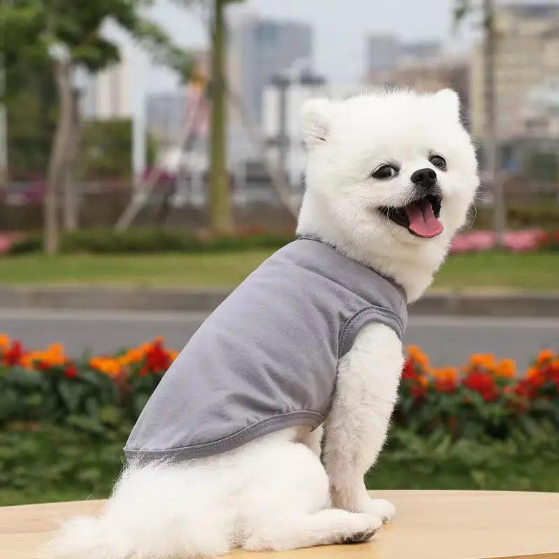 Plain T-Shirt for Dog - Petaloons