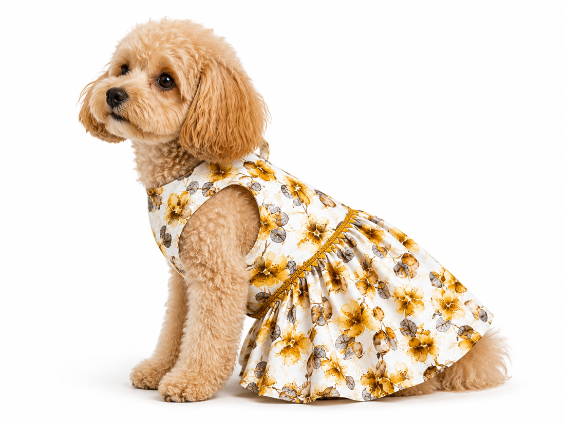 Floral Dog Dress for Monsoon Season
