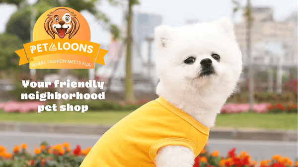 Why Pet Clothing Isn't Just for Fashion: Practical Benefits of Dressing Your Pet - Petaloons