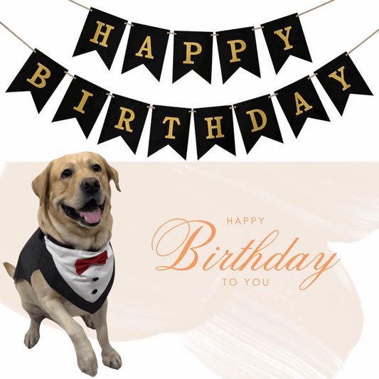 Dog Birthday Tuxedo with Happy Birthday Banner | Party Set by Petaloons - Petaloons