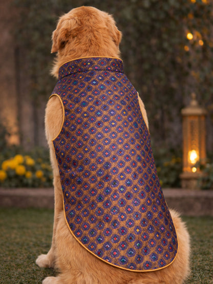 Dog wearing a patterned blue and gold coat outdoors with greenery in the background