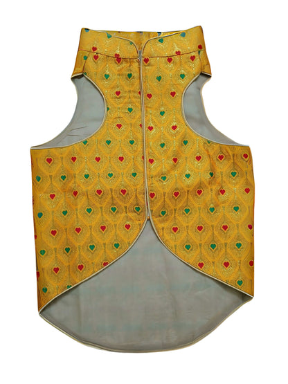 Royal Yellow Dog Sherwani – Designer Indian Wedding & Festive Ethnic Wear for Dogs