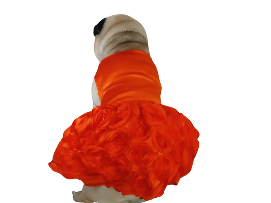 Orange Pet Frock for Dogs and Cats – Soft Cotton Dress for Small & Medium Breeds – Lightweight & Comfortable Pet Apparel