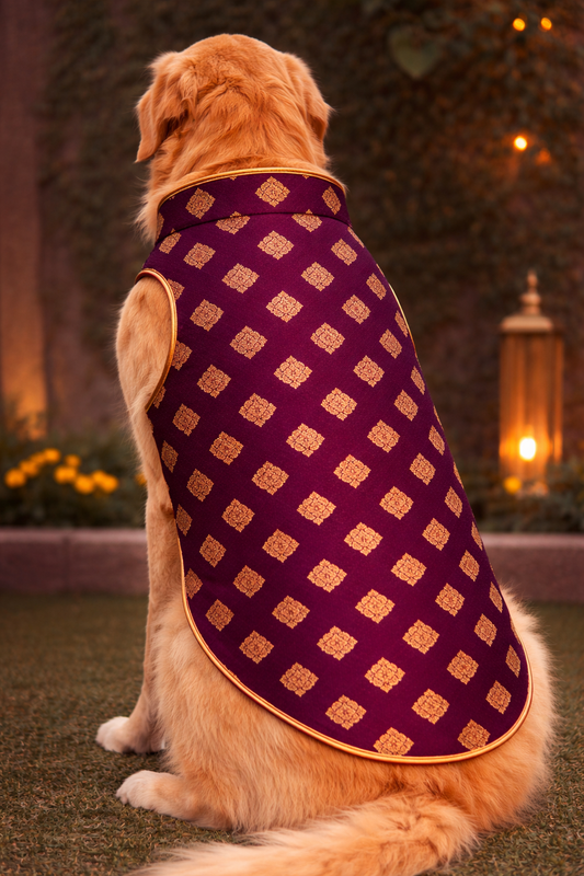 Dog wearing a purple and gold patterned coat outdoors with decorative elements.