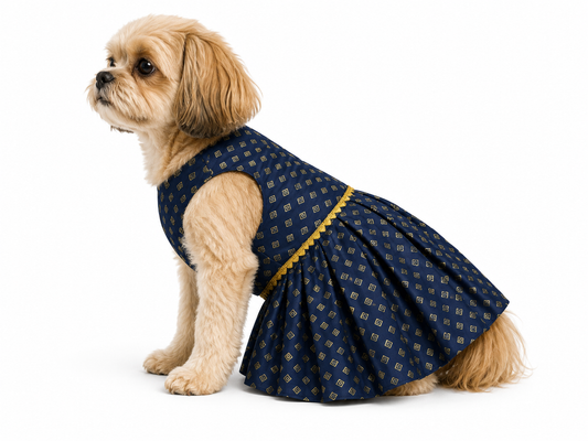 Small dog wearing a blue patterned dress on a white background