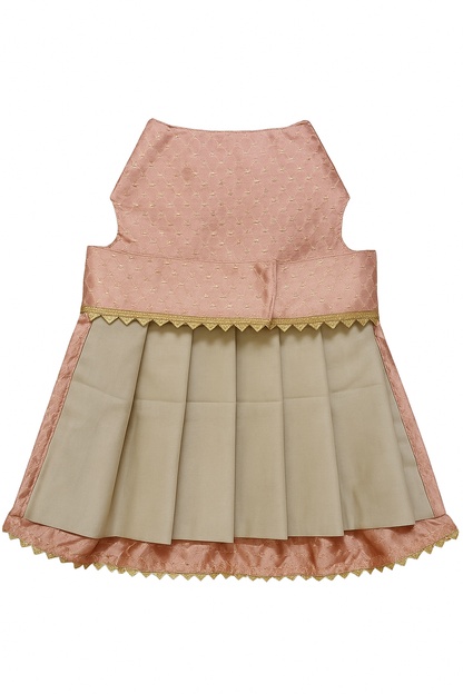 Golden festive dress for pet wedding wear
