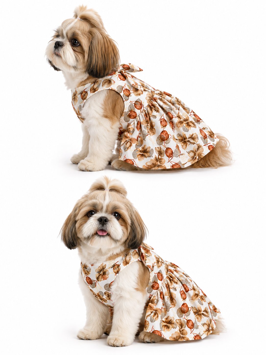 Two images of a small dog wearing a floral dress on a white background