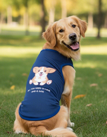 Dog wearing a blue shirt with a graphic and text, sitting on grass.