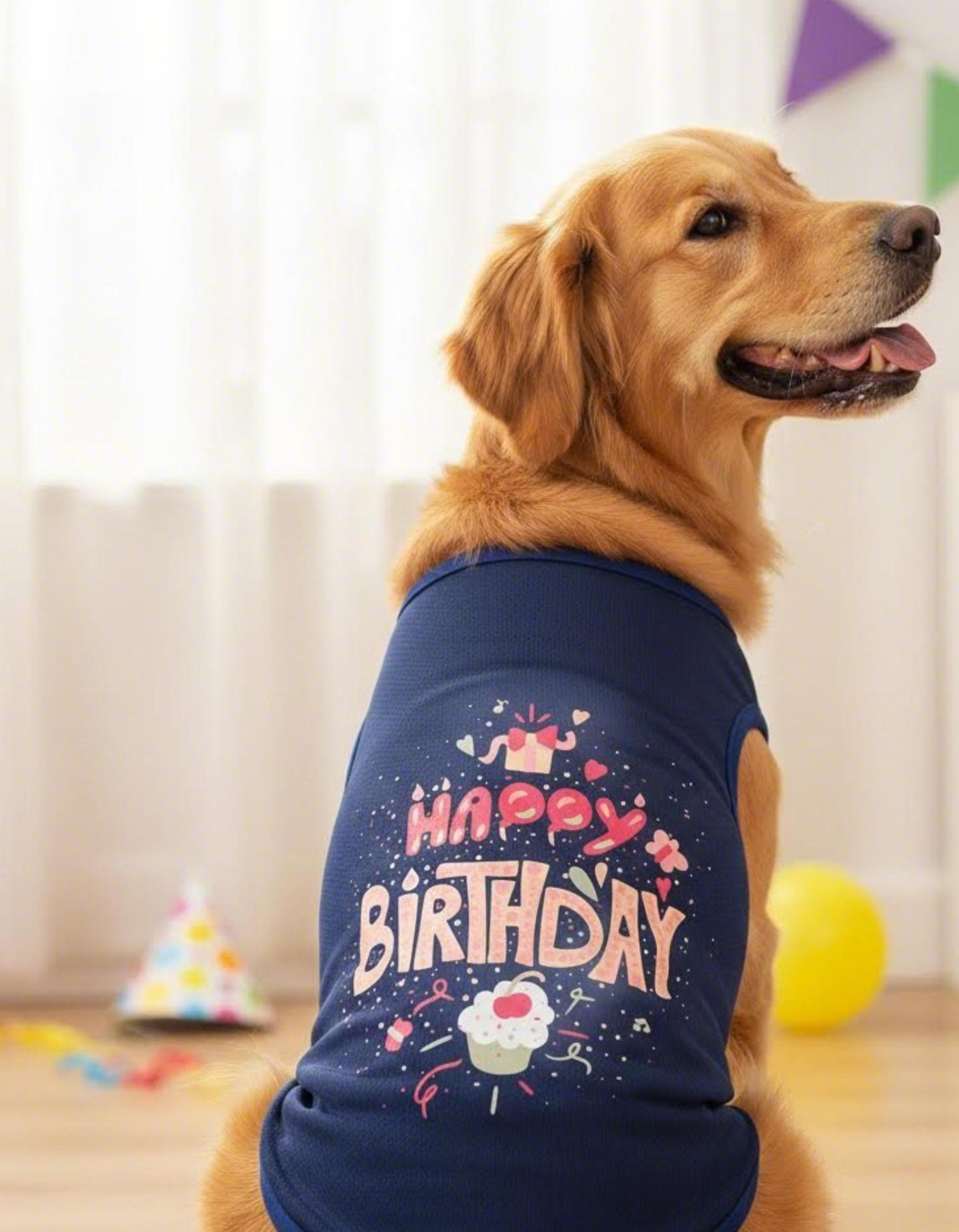 Dog wearing a blue 'Happy Birthday' shirt with colorful decorations.