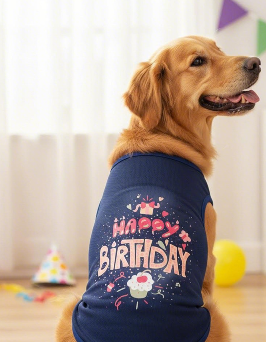Dog wearing a blue 'Happy Birthday' shirt with colorful decorations.