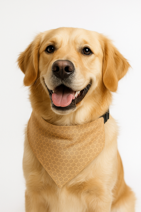 Ash Olive Dog Bandana – Traditional Ethnic Cotton Scarf for Dogs | Reversible & Adjustable Pet Accessory - Petaloons