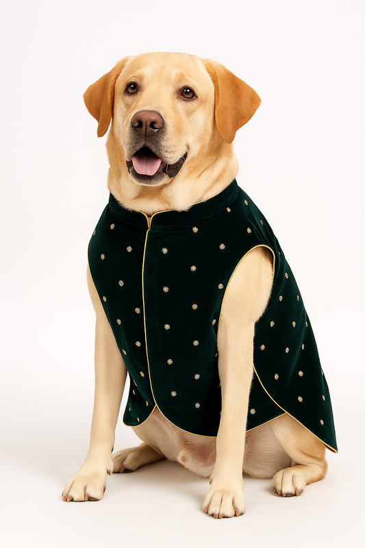 Bottle Green Sherwani for Dog – Ethnic Dog Outfit for Weddings & Festive Wear