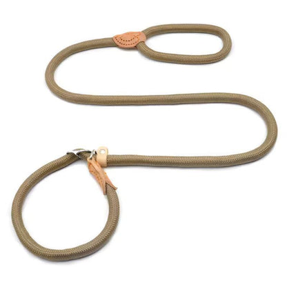 Customized Adjustable Nylon Round Rope Dog Leash with Collar – Multiple Colors & Durable Design - Petaloons