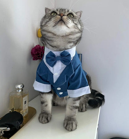 Elegant blue tuxedo outfit for pets, perfect for formal occasions.