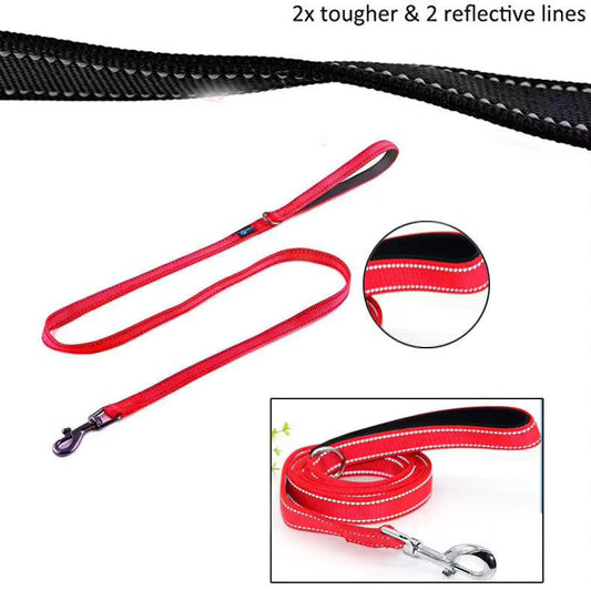 Nylon Dog Leash – Heavy Duty with Double Neoprene Padded Traffic Handle - Petaloons