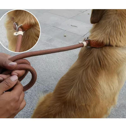 Customized Adjustable Nylon Round Rope Dog Leash with Collar – Multiple Colors & Durable Design - Petaloons