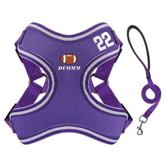 High-Quality Large Dog Harness Set – Luxury Adjustable Vest and Leash for Outdoor Sports - Petaloons