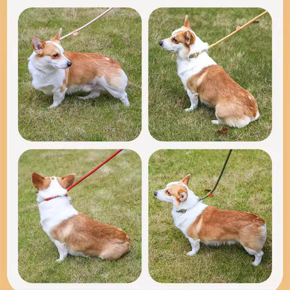 Customized Adjustable Nylon Round Rope Dog Leash with Collar – Multiple Colors & Durable Design - Petaloons
